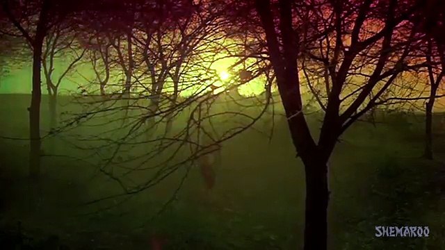 Bhor Bhaye Panghat Pe - Zeenat Aman - Shashi Kapoor - Satyam Shivam Sundaram - B