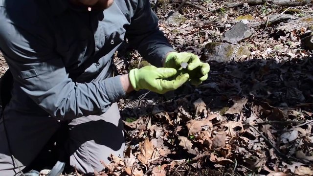 Ils trouvent un trésor.. demande en mariage surprise !