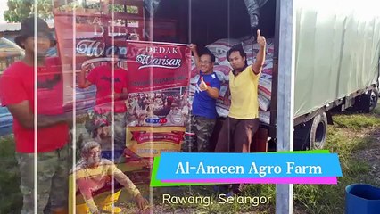 Ladang Ayam Kampung Komersial di Rawang [Kapasiti 20k]