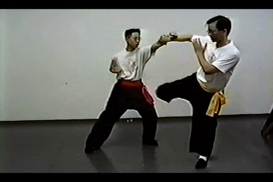 Wing Chun with Terence Yip Wing Chun Kicks Part 3