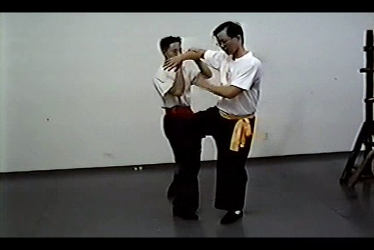 Wing Chun with Terence Yip Wing Chun Kicks Part 4