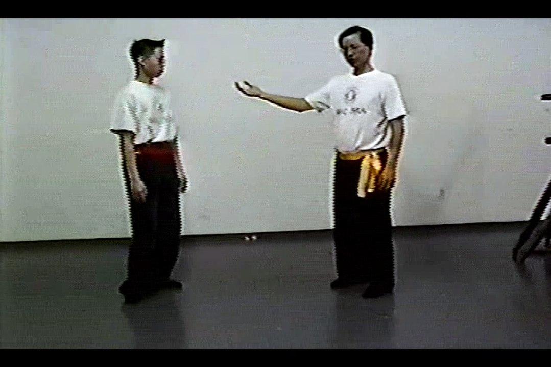 Wing Chun with Terence Yip Wing Chun Kicks Part 6