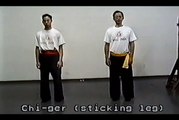 Wing Chun with Terence Yip Wing Chun Kicks Part 7