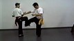 Wing Chun with Terence Yip Wing Chun Kicks Part 8