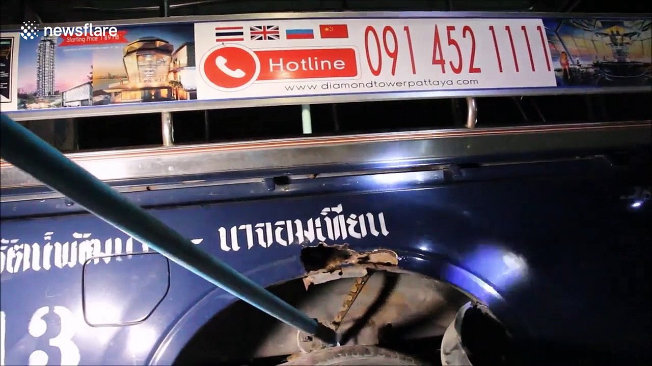 Snake caught lurking inside moving bus