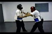 Wing Chun with Terence Yip Wing Chun Kicks Part 11