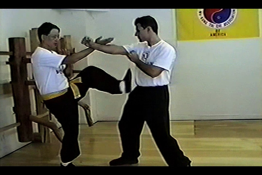 Wing Chun with Terence Yip Wooden Dummy Applications Part 8