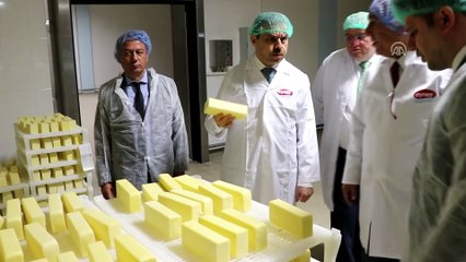 'Kayyum atanan şirketler büyüdü' - DENİZLİ