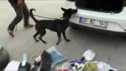 Otomobilin tavanına saklanan uyuşturucu detektör köpekle bulundu