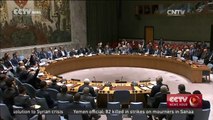 China calls for unity within UN Security Council