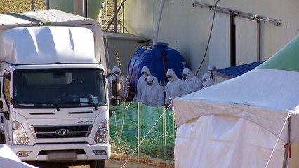 음성 오리농장서 AI 또 검출...충북에 이동중지 명령 / YTN