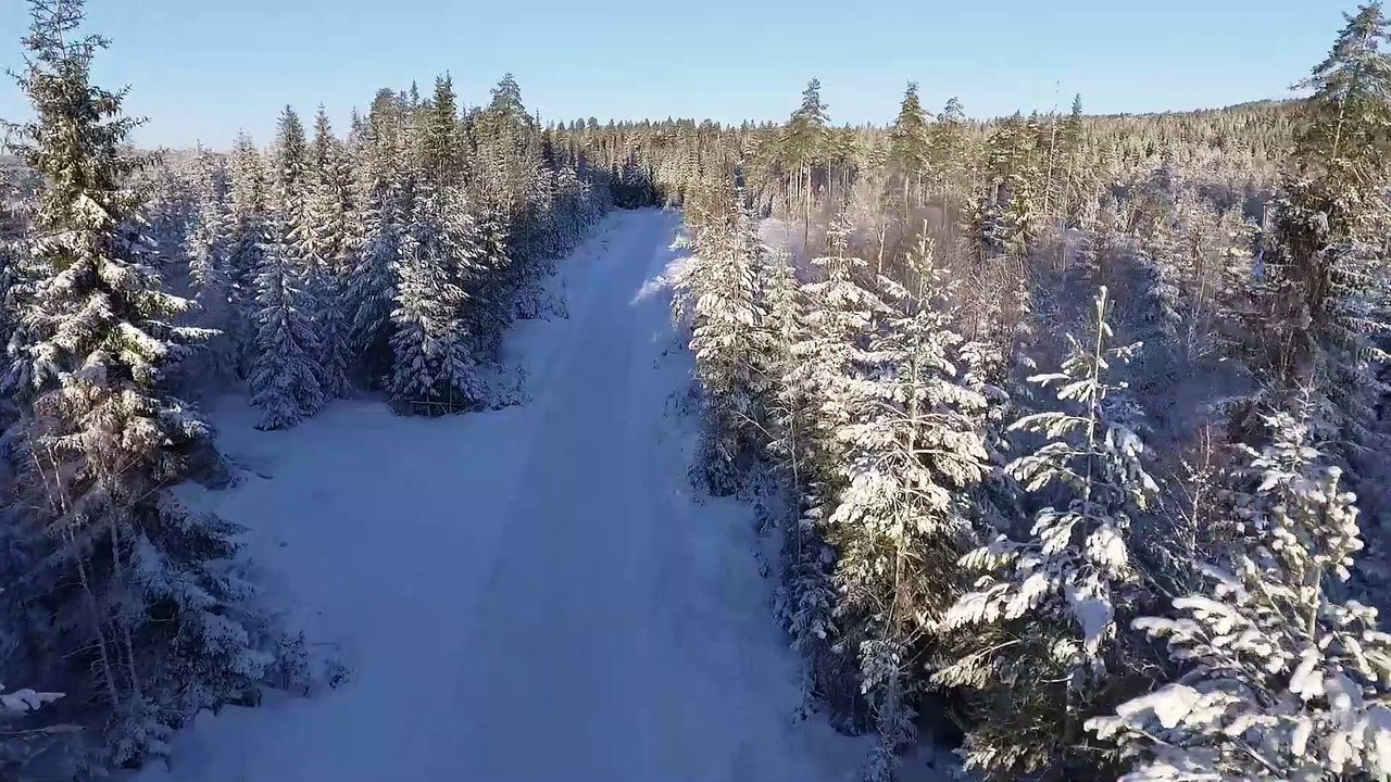 Snowy Road - Brandon Rodammer