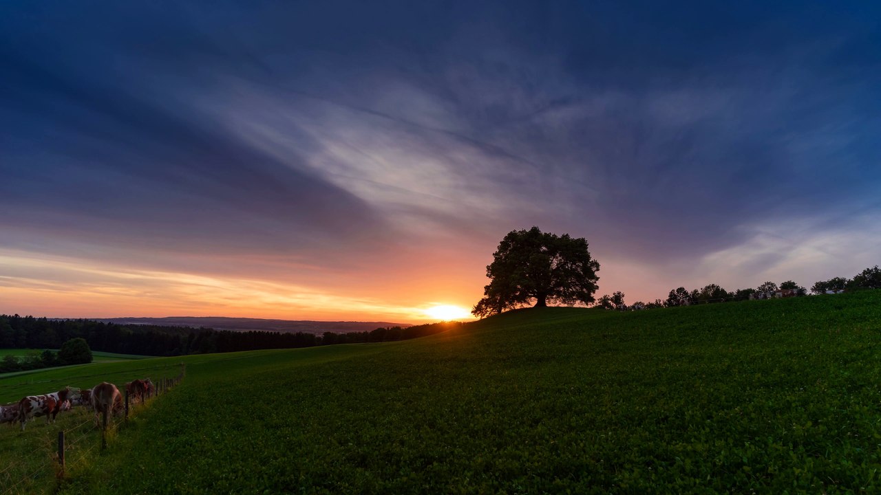 Sunset View - Brandon Rodammer