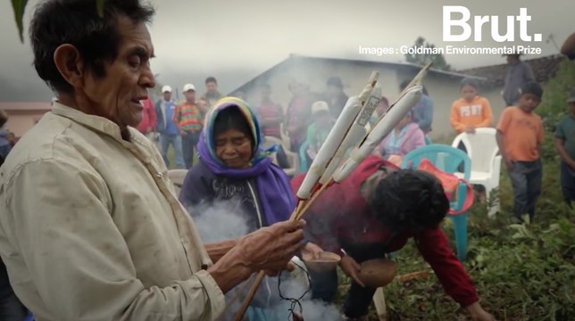 Les défenseurs de l'environnement, cibles de groupes criminels