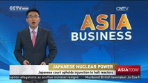 Japanese Nuclear Power: Japanese court upholds injunction to halt reactors