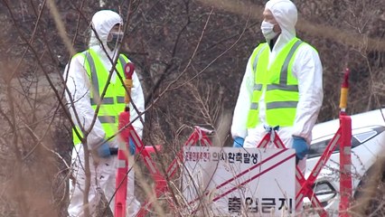 일시 사육까지 중단 했는데 또 AI 발생 충격 / YTN