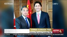 Chinese FM Wang Yi meets Canadian PM Justin Trudeau in Ottawa