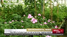 Environmental Risks: One fifth of all plant types at risk as farming, logging expand
