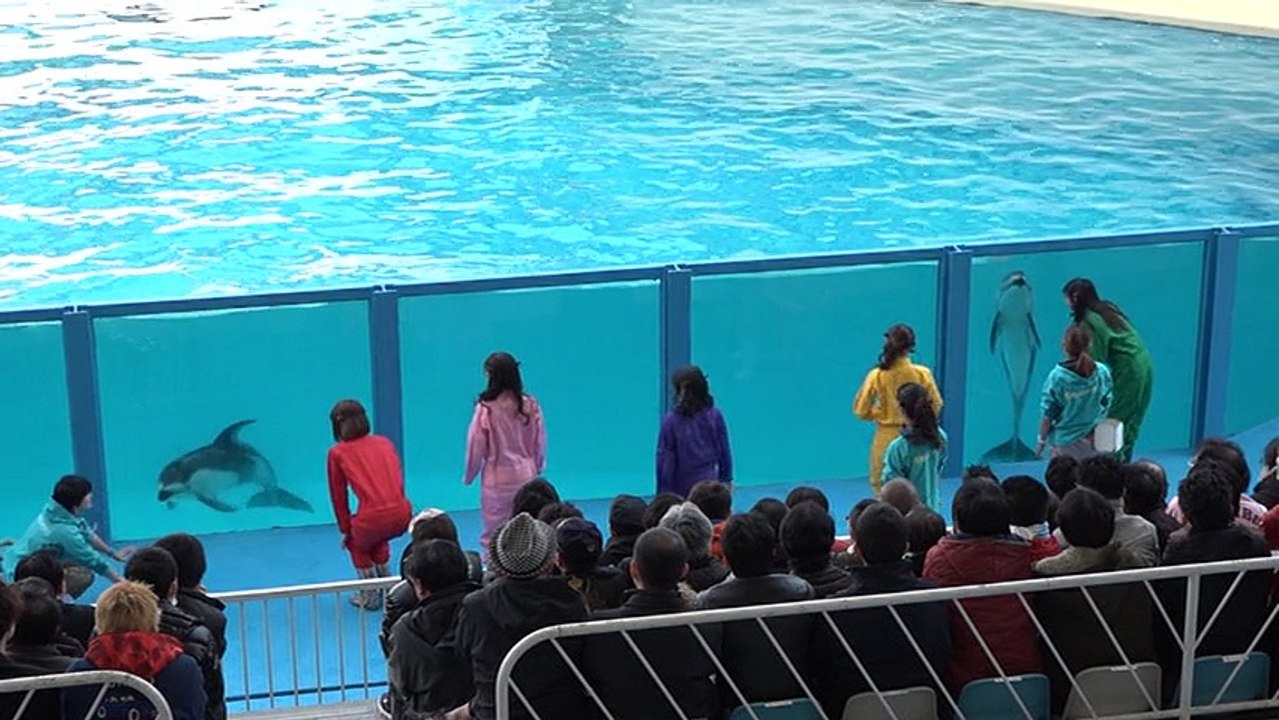 Juice=Juice Fanclub Tour 〜Miracle×Juice×Bus2〜 in 伊豆 disc1 part2