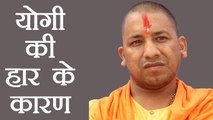 Yogi Adityanath के Gorakhpur, Phulpur By Elections में हारने की ये है वजह ।  वनइंडिया हिंदी