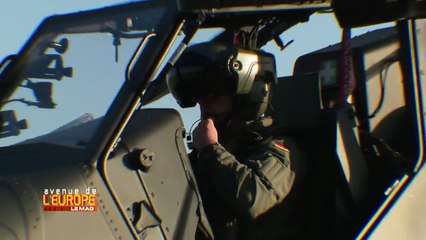 La coopération militaire franco-allemande sous le signe du Tigre