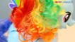 Flip and Whirl Rainbow Dash / Skacząca Rainbow Dash - Rainbow Power - My Little Pony - A5905