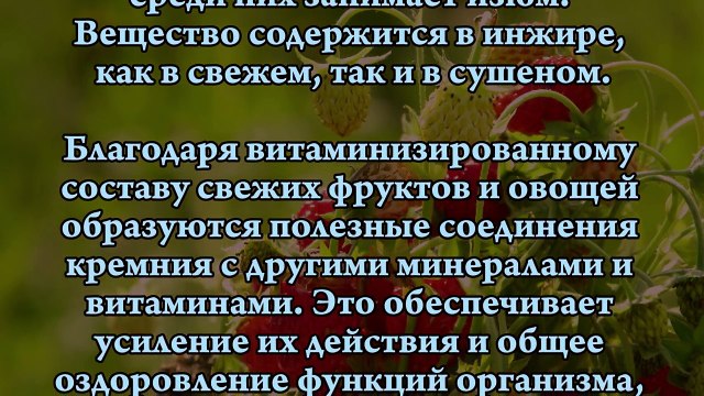 КРЕМНИЙ. В КАКИХ ПРОДУКТАХ СОДЕРЖИТСЯ?