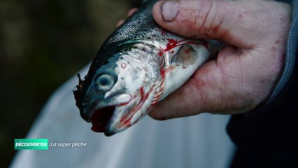 Découvertes - La super pêche