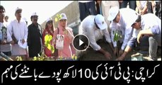 PTI starts campaign to distribute 1 million saplings in Karachi