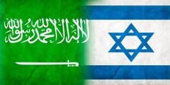 Israeli Communications Minister invites Saudi Arabia's Mufti to Tel Aviv