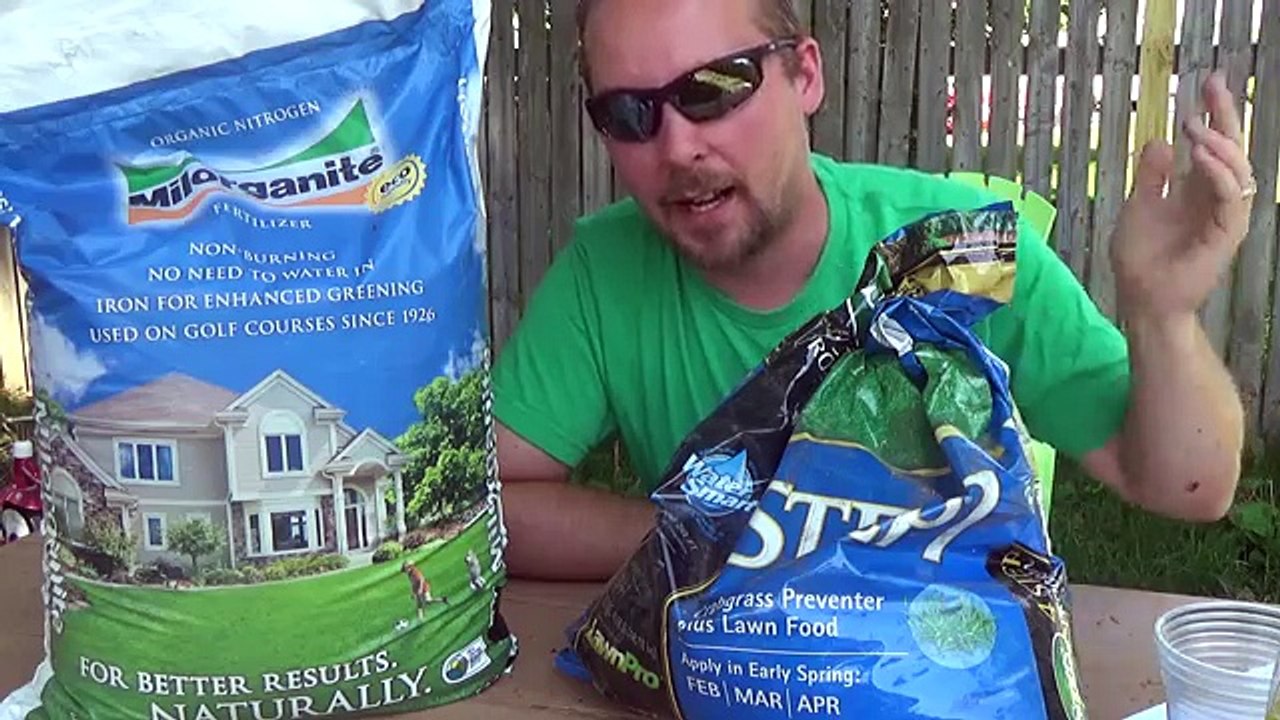 How to Fix an Ugly Lawn in 5 Easy Steps