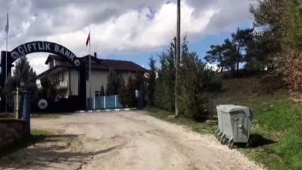 Taraklı ilçesindeki Çiftlik Bank Tesisi - SAKARYA