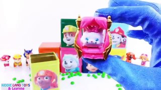 Best Learn Colors Video for Kids PJ Masks Play-doh Tubs and Blind Bags Paw Patrol Custom Cubeez