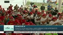 Venezuela: aprobados recursos para el Plan Nacional Agrourbano 2018