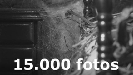 "Time-lapse", el arte del español Carrasco cautivó al jurado del premio HIPA