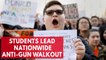 Students across the nation plan walkout in protest of gun violence