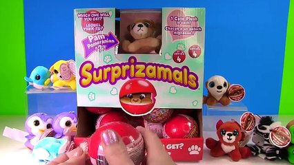Surprizamals Series 4 Opening FULL CASE Limited Edition Plush Animals Blind Bags | Fizzy Toy Show