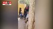 .. مدرسة إبتدائية بقرية فى بلبيس تجبر التلاميذ على جمع المخلفات