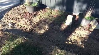 DIY Clean n Simple Gravel Landscaping - Part 1 of 2
