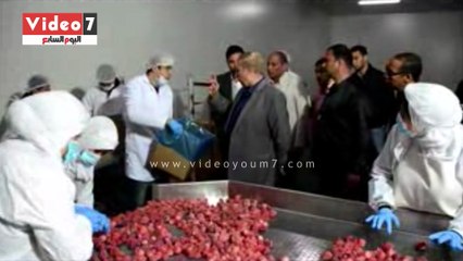 محافظ الإسماعيلية يتفقد 5 مشروعات استثمارية بالمنطقة الصناعية