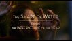 THE SHAPE OF WATER _ _Own The Best Picture_ TV Commercial _ FOX Searchlight [720p]