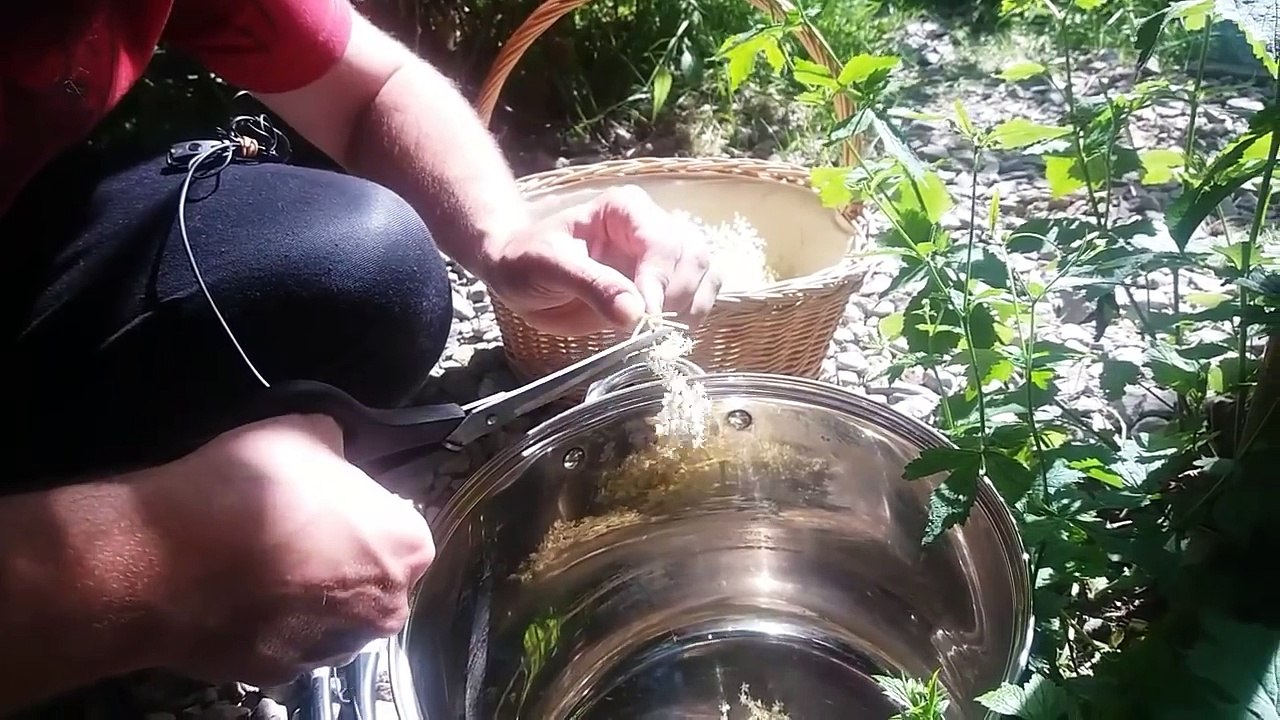 Syrop z kwiatow bzu bez cukru prosty przepis dla kazdego