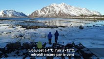 Norvège : aux Lofoten, on pratique le surf même en hiver