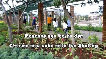 Sapi dikasih dot? Nyuapin kambing dan Kelinci @ Kids Zoo