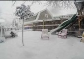 Timelapse Shows Nor'easter Snow Blanketing Providence Garden
