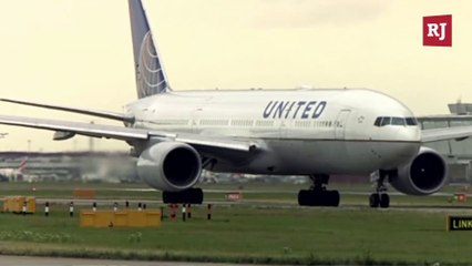 United Airlines Flies Kansas-Bound Dog to Japan