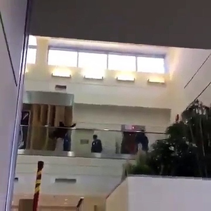 Nigerian خودکشیat US Airport to avoid deportation