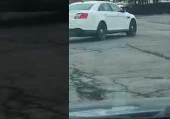 Police Repeatedly Run Over Rabid Raccoon in Upstate New York