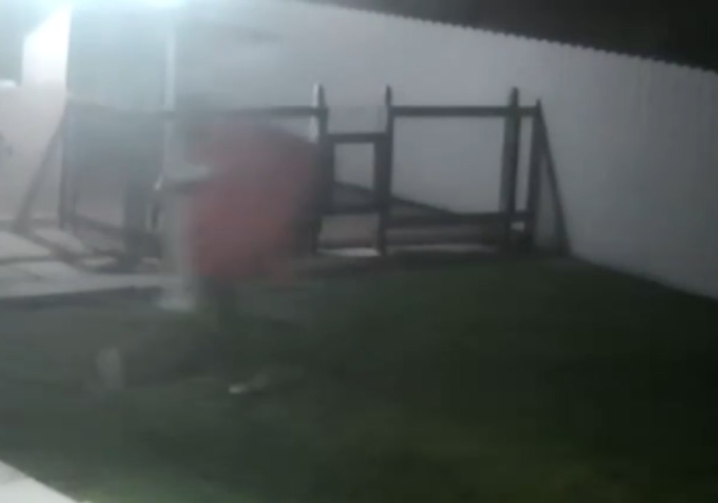 Man Steals Bulldog Puppy After Responding to Craigslist Ad