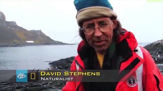 WHAT Is Happening To Antarctica ?! (Illuminati Exposed)
